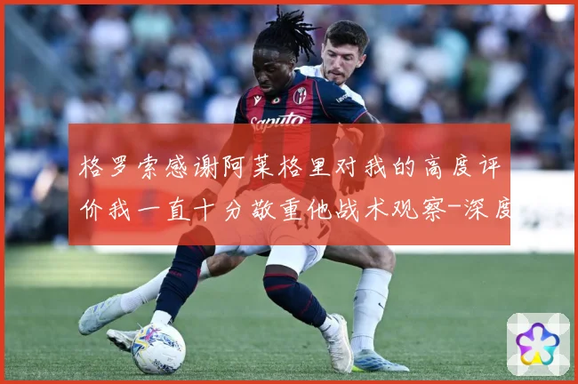 格罗索感谢阿莱格里对我的高度评价我一直十分敬重他战术观察-深度解析